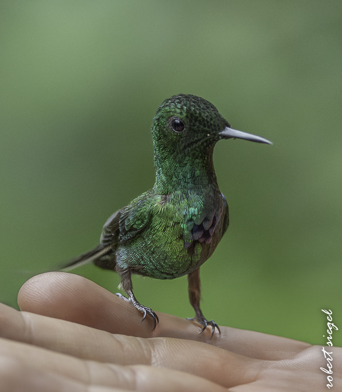 ecuador